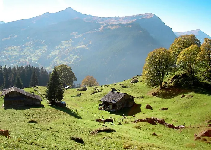 Abendrot Apartments-8 By Interhome Διαμέρισμα *