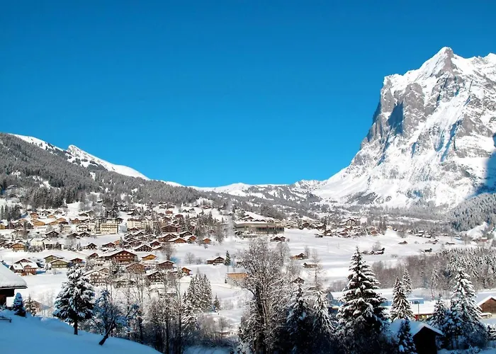 Abendrot Apartments-8 By Interhome Grindelwald